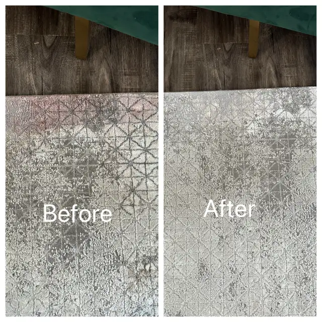 Carpet & Sofa Cleaning Scarborough | Call or Text for Quote - Photo 3
