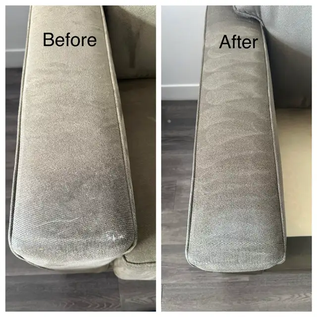 Carpet & Sofa Cleaning Scarborough | Call or Text for Quote - Photo 4