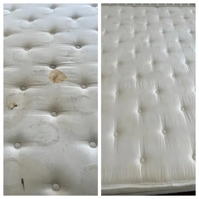 Carpet & Sofa Cleaning Scarborough | Call or Text for Quote - Photo 5