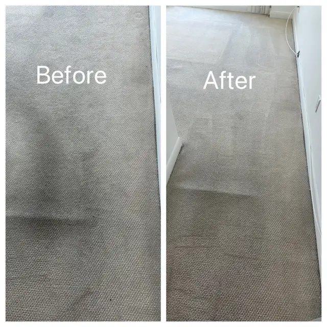 Carpet & Sofa Cleaning Scarborough | Call or Text for Quote - Photo 7