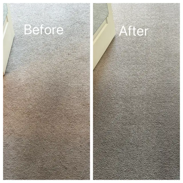 Carpet & Sofa Cleaning Scarborough | Call or Text for Quote - Photo 9