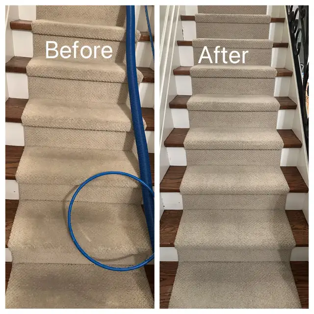 Carpet & Sofa Cleaning Scarborough | Call or Text for Quote - Photo 10