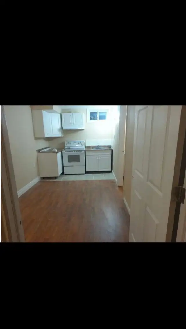 One BR in a 2 BR Basement Apartment for Rent - Photo 3