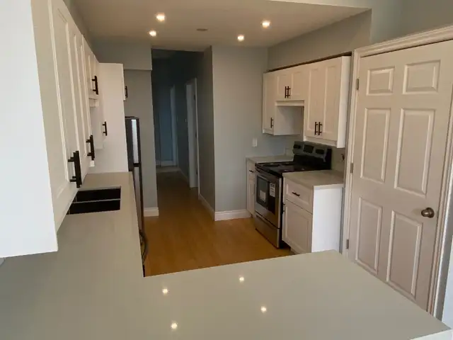 Modernized 2 Bedroom Apartment - Photo 2