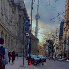 looking for high wage lmia