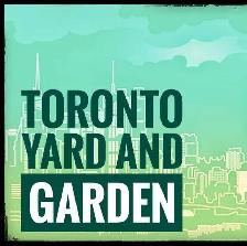 Summer landscaping cleaning