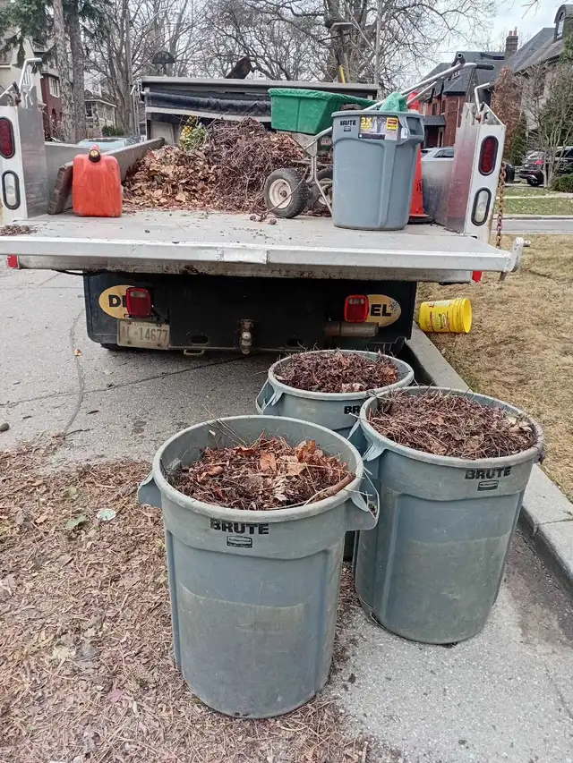 Summer landscaping cleaning - Photo 2