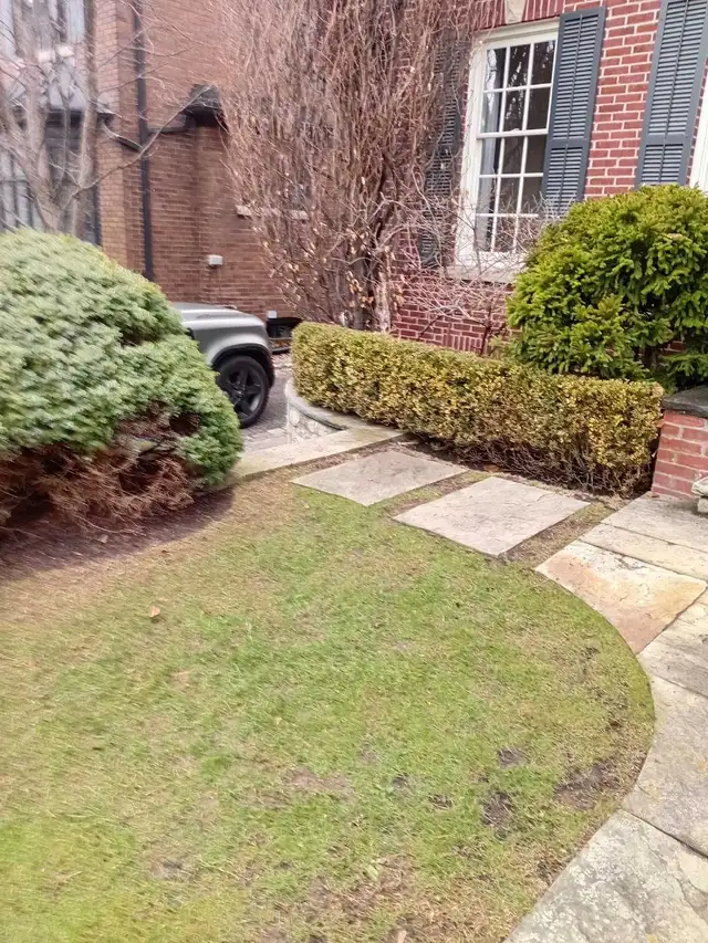 Summer landscaping cleaning - Photo 9