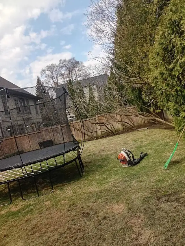 Summer landscaping cleaning - Photo 10