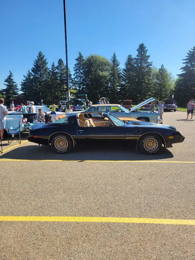 1981 Pontiac Trans Am SURVIVOR