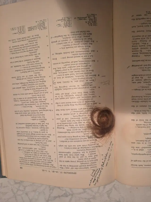 HOLY BIBLE 1897 - Photo 3