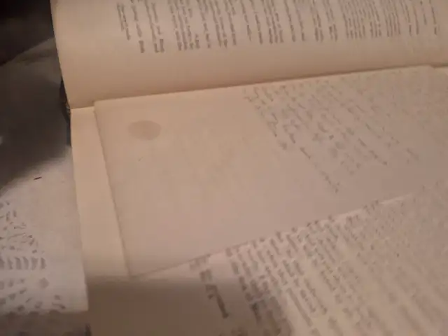 HOLY BIBLE 1897 - Photo 5