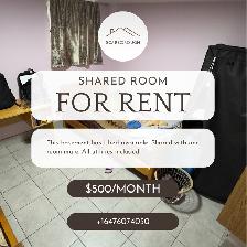 New 1BR   Private Ensuite | 26-Min to Conestoga Doon | All Incl