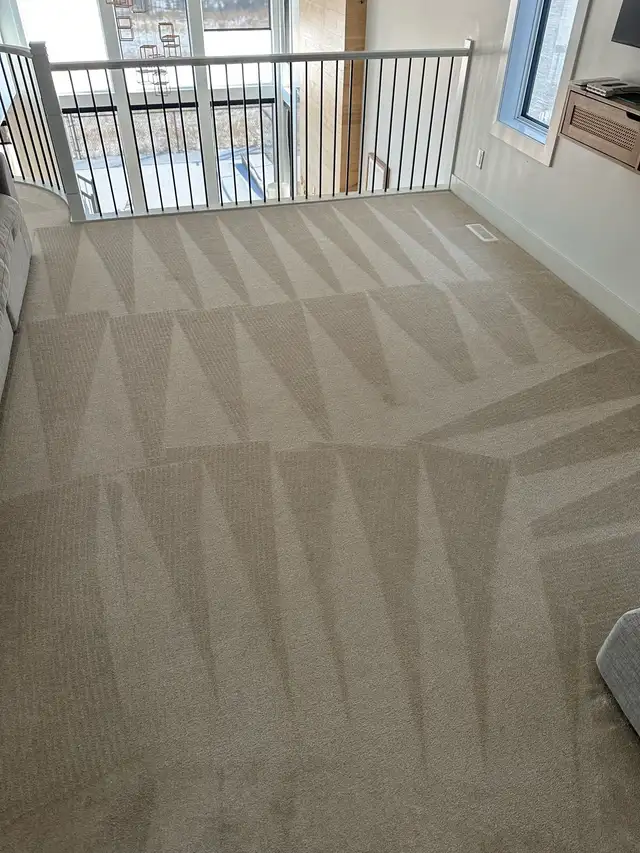 professional Carpet Cleaning Services