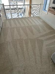 professional Carpet Cleaning Services