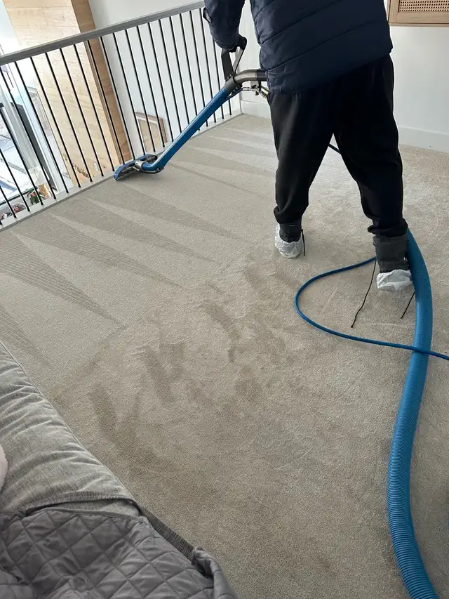 professional Carpet Cleaning Services - Photo 2