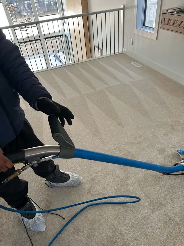 professional Carpet Cleaning Services - Photo 3