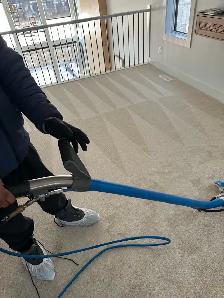 professional Carpet Cleaning Services - Photo 3