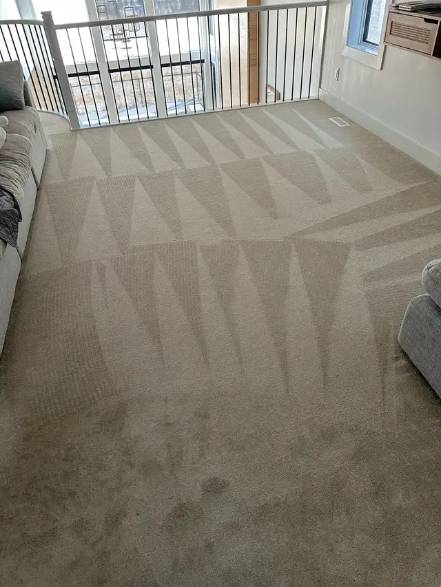 professional Carpet Cleaning Services - Photo 4