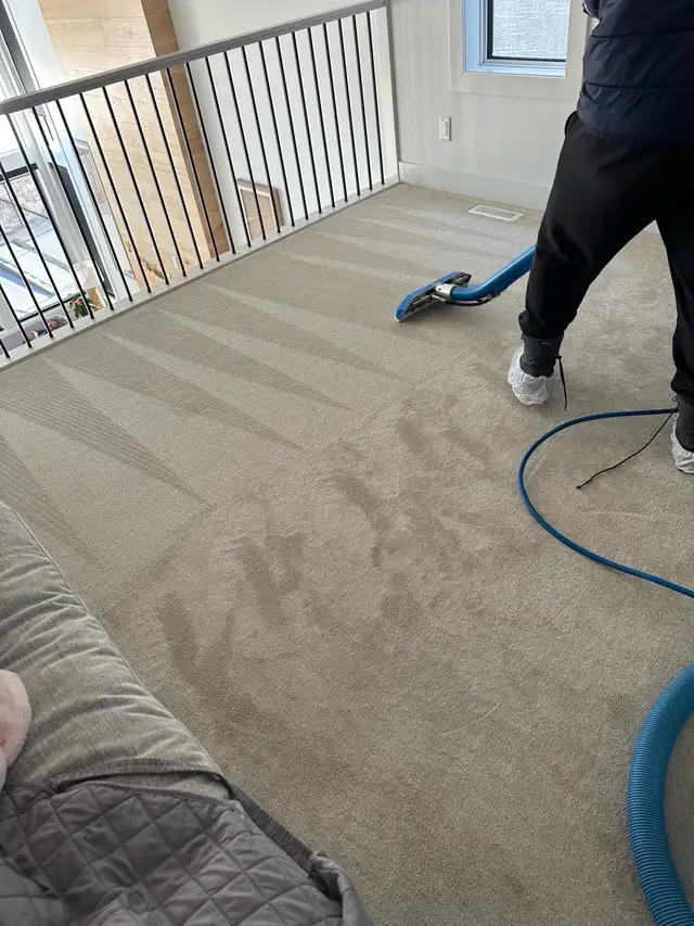 professional Carpet Cleaning Services - Photo 5