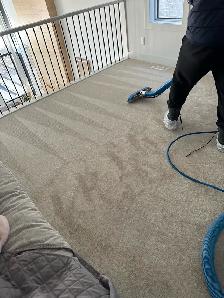 professional Carpet Cleaning Services - Photo 5
