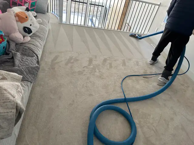 professional Carpet Cleaning Services - Photo 6