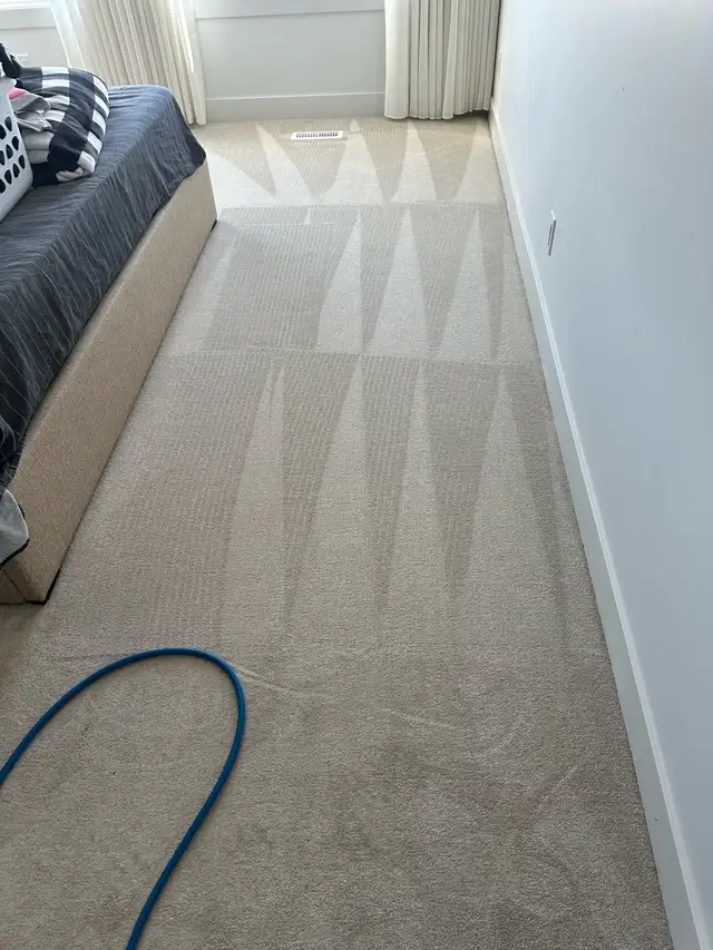 professional Carpet Cleaning Services - Photo 7