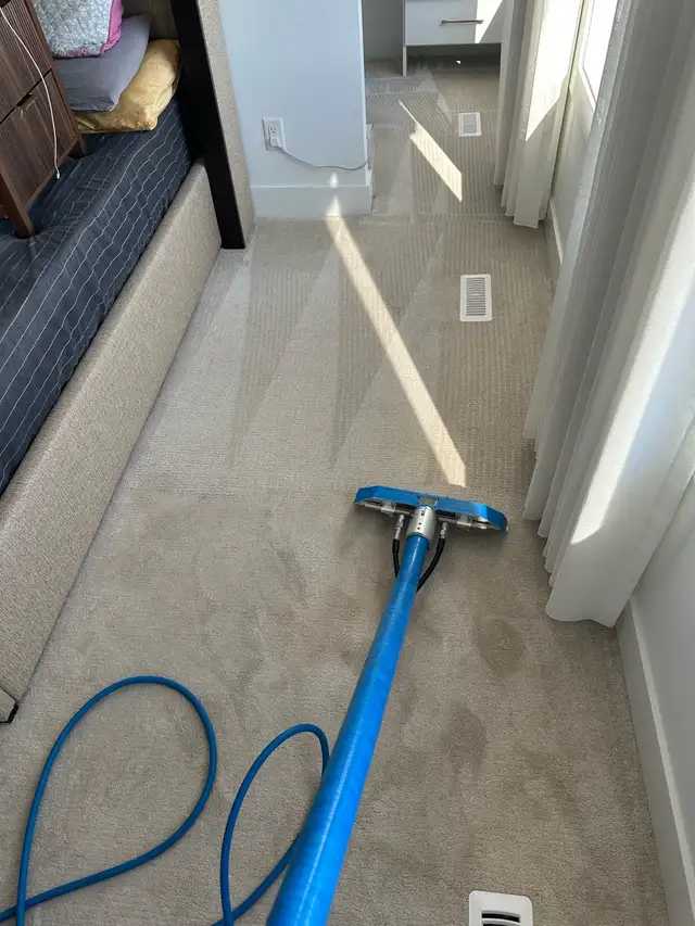 professional Carpet Cleaning Services - Photo 8