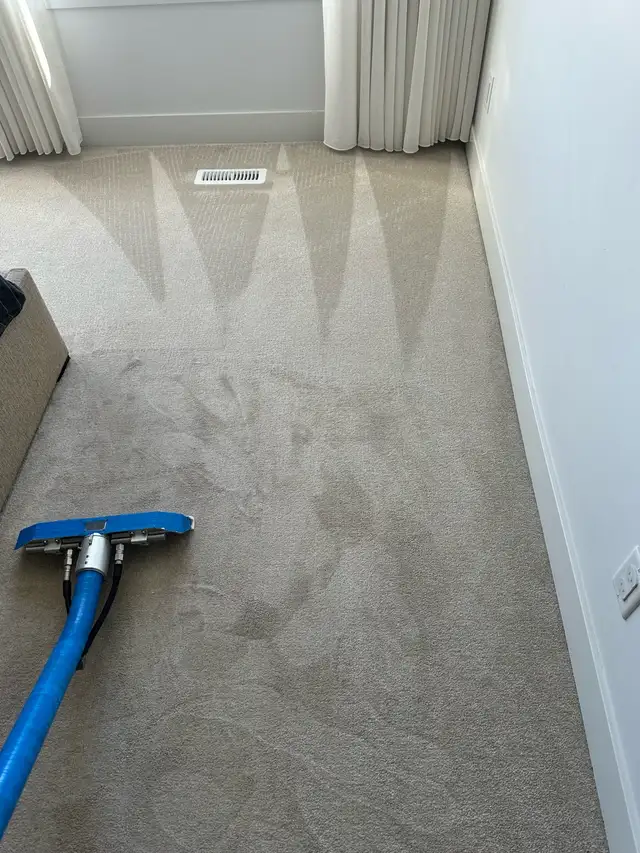 professional Carpet Cleaning Services - Photo 9