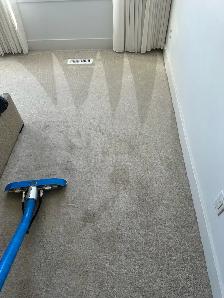 professional Carpet Cleaning Services - Photo 9