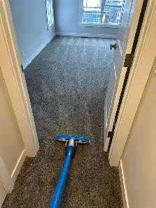 professional carpet cleaning company