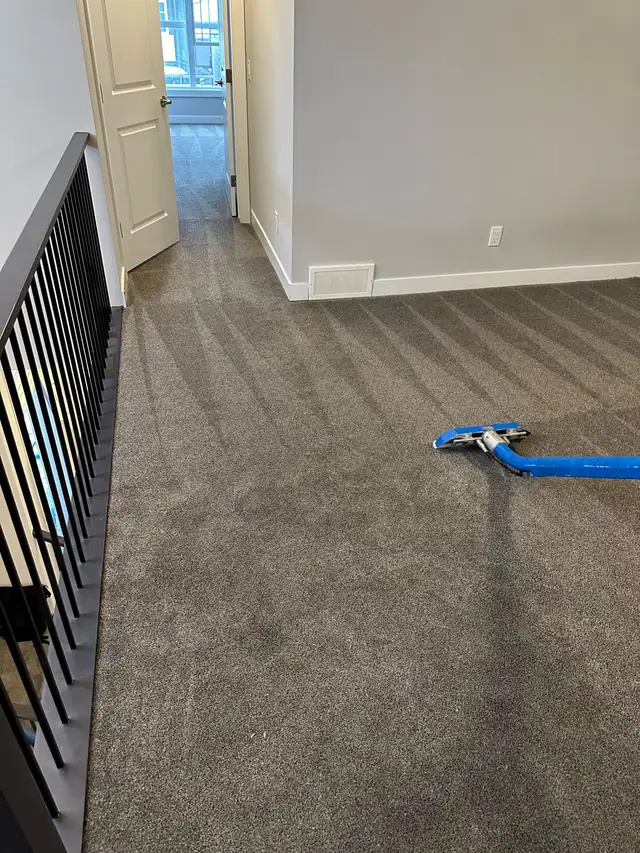 professional carpet cleaning company - Photo 2