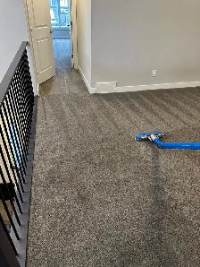 professional carpet cleaning company - Photo 2