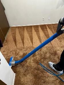 professional carpet cleaning company - Photo 3