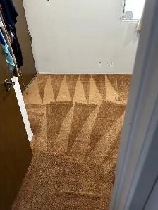 professional carpet cleaning company - Photo 5