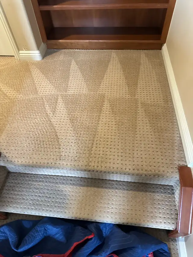 professional carpet cleaning company - Photo 6