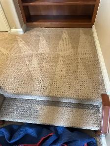 professional carpet cleaning company - Photo 6