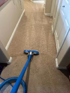 professional carpet cleaning company - Photo 7