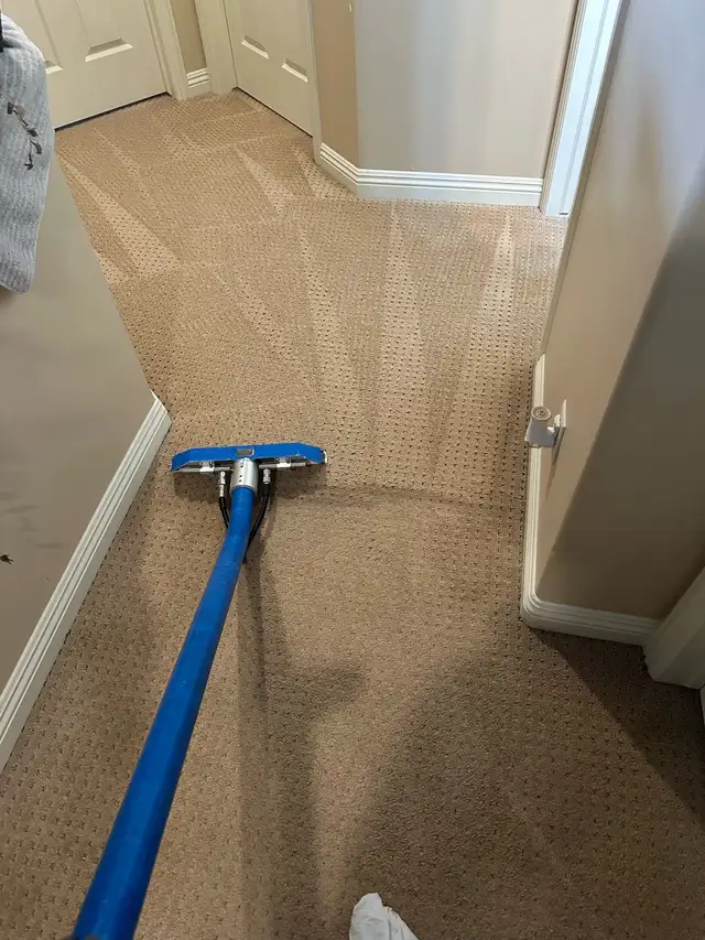 professional carpet cleaning company - Photo 9