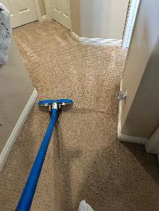 professional carpet cleaning company - Photo 9