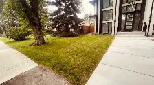 SPRING CLEAN UP & LAWN CARE