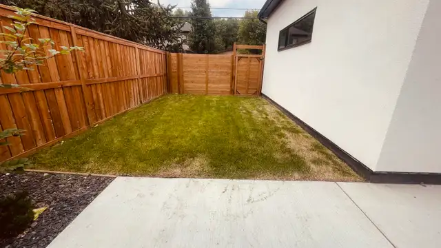 SPRING CLEAN UP & LAWN CARE - Photo 2