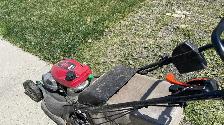 SPRING CLEAN UP & LAWN CARE - Photo 4