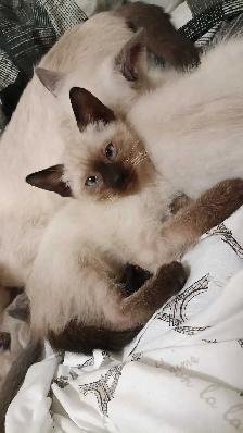 PRICE DROPPED LAST CHANCE