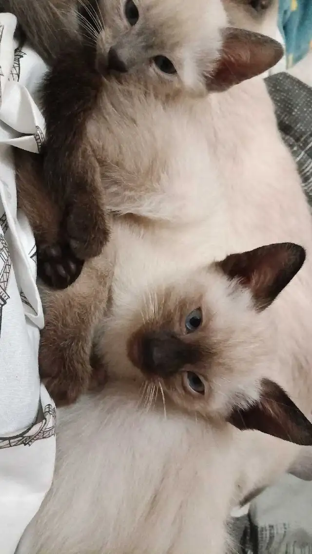 PRICE DROPPED LAST CHANCE - Photo 3