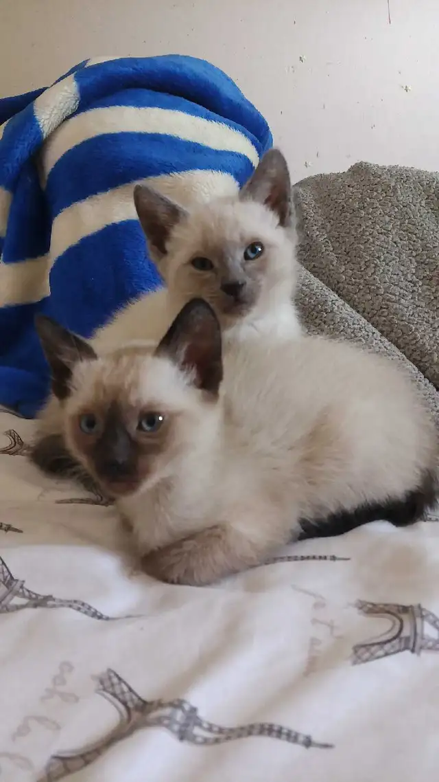 PRICE DROPPED LAST CHANCE - Photo 5