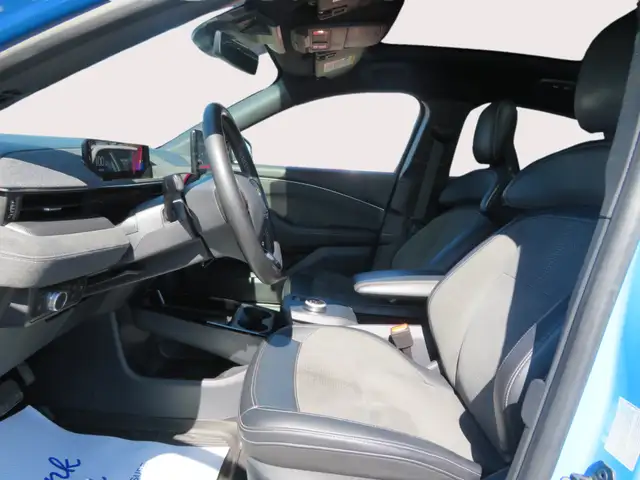 2022 Ford Mustang Mach-E GT Performance Edition AWD - Photo 13