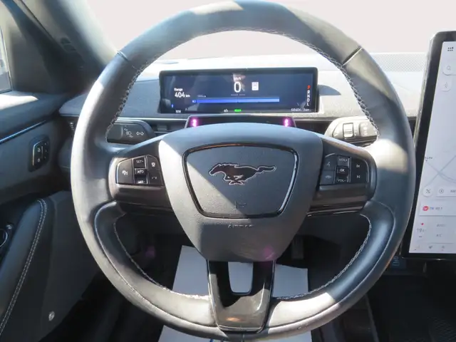 2022 Ford Mustang Mach-E GT Performance Edition AWD - Photo 15