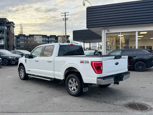 2023 FORD F-150 - Photo 4