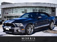 2010 Ford Mustang Shelby GT500